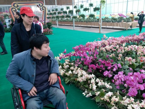 图为：在志愿者帮助下残疾人进行赏花