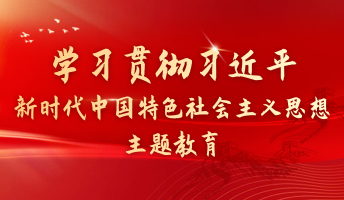 学习贯彻习近平新时代中国特色社会议思想主题教育