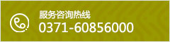咨询热线:0371-60856000